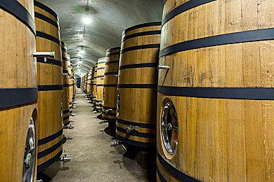 揭开马戏团疑案，侦探文字推理《双盲把戏》Demo首次公开